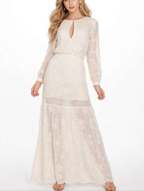 Chelsea & Violet Dresses & Skirts - NWT Chelsea & Violet Ivory Embroidered Mesh Semi-Sheer Long Sleeve Maxi Dress